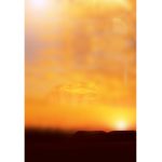 class graduation announcements